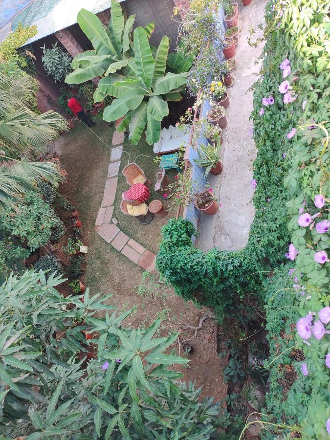 ג'ודפור Bristows Haveli Homestay מראה חיצוני תמונה